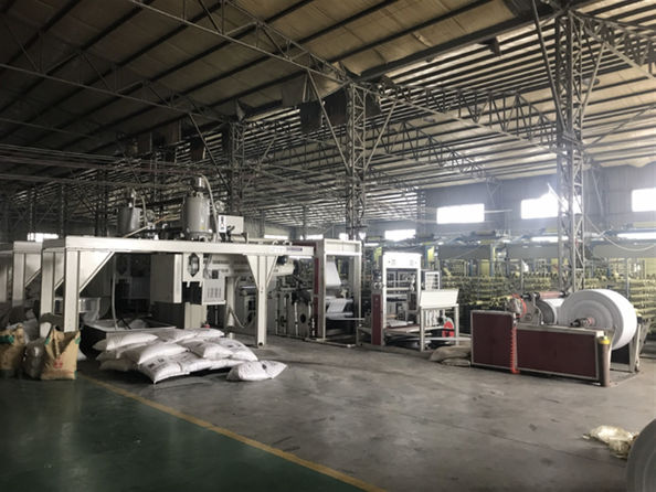 Yiyang Wanlin Weave Packing Co., Ltd. خط إنتاج المصنع